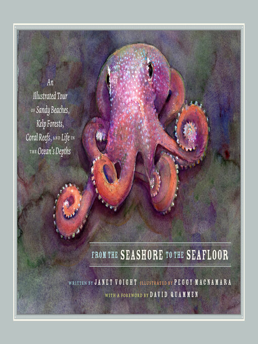 Cover image for From the Seashore to the Seafloor